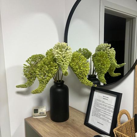 Rorada Apartament Făgăraş Екстериор снимка